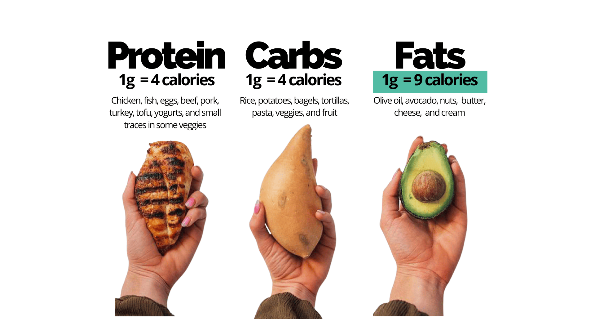 examples of protein, carbs, and fats plus how many calories per gram each macro holds